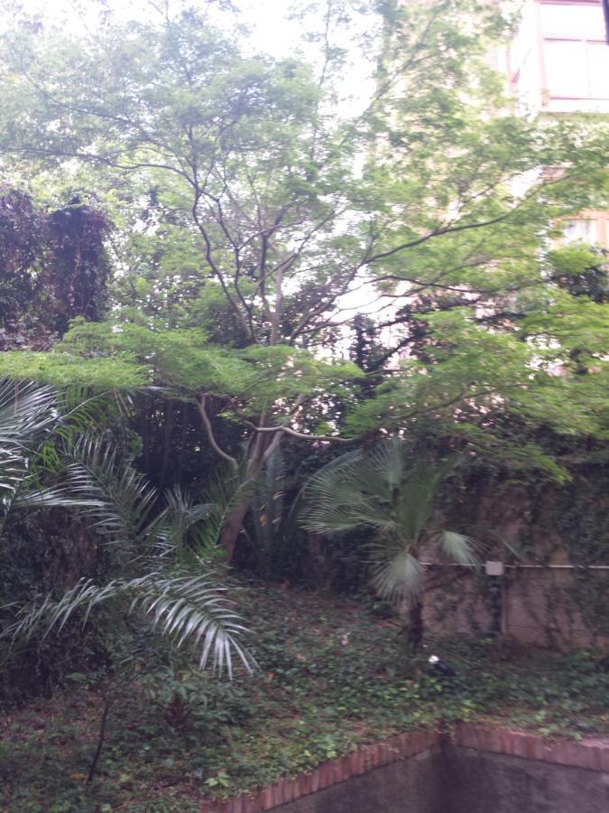 Le Palme Apartment